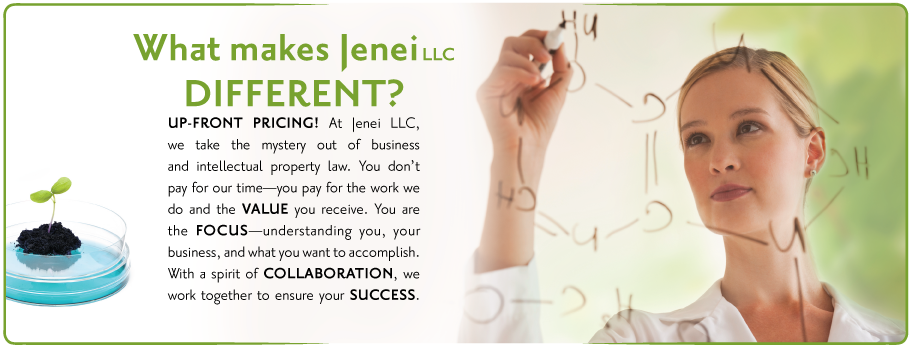 Up-front pricing! At Jenei LLC, we take the mystery out of business and intellectual property law. You don't pay for our time - you pay for the work we do and the value you receive. You are the focus - understanding you, your business, and what you want to accomplish. With a spirit of collaboration, we work together to ensure your success.